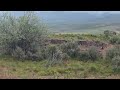 Video of Indian Rocks - Dispersed Camping, ID from Elizabeth B.