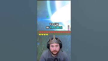 My Hylian shield! #zelda #botw #gaming #videogames #trending #twitch #youtube #shorts #funny #fail