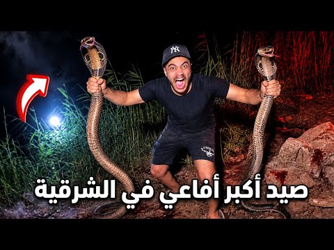 اصطياد أخطر كوبرا في الشرقية الي رعبت الأهالي وكانت على بعد ثوان من لدغي