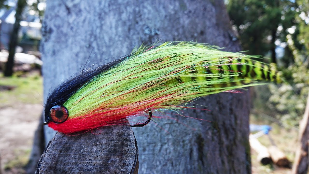 Golden Dorado and Tucunare fly tying instructions by Ruben Martin