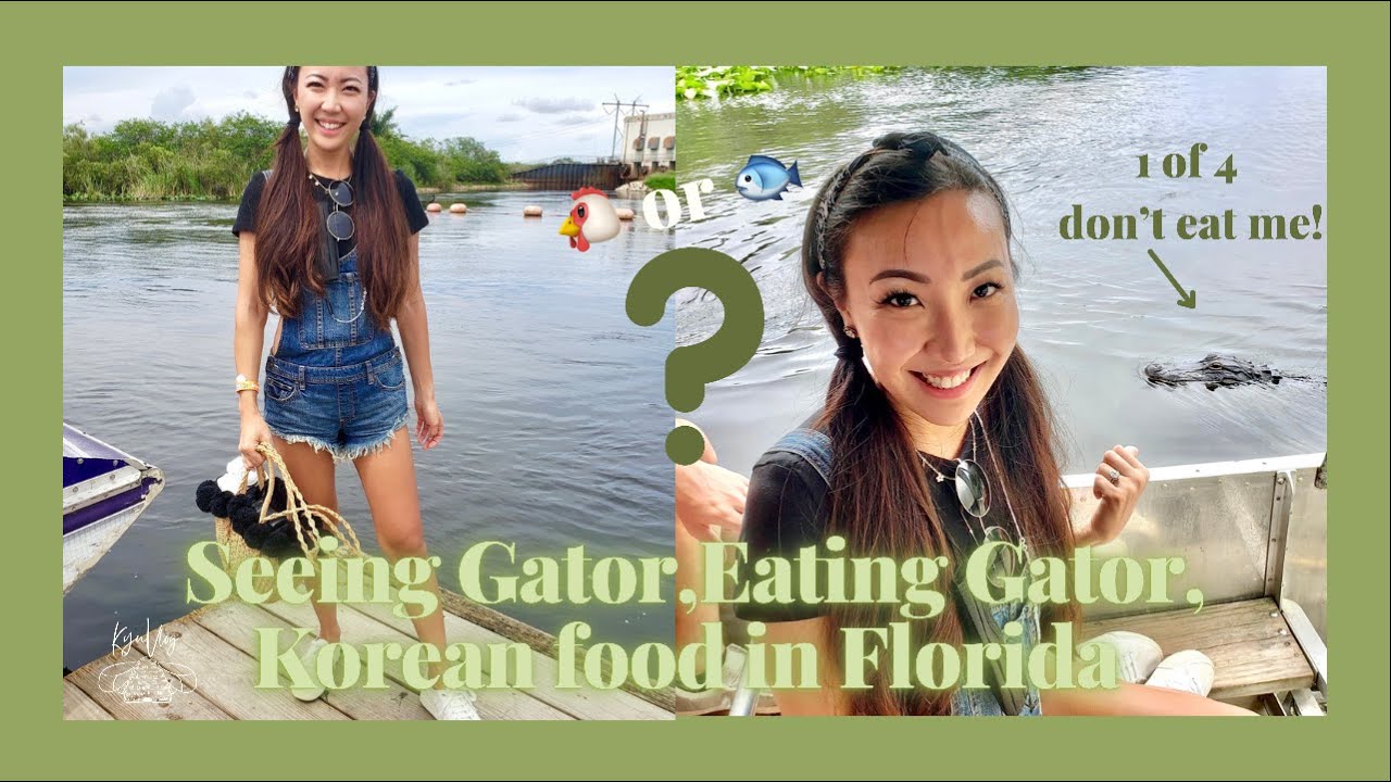 KyuVlog | Things to Do in South Florida Other Than Beach | Everglades | Korean Food in South Florida