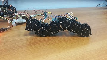 Modular robot snake configuration