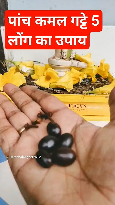 #panditpradeep #puja #upay #Mishra ji told to do this easy solution to buy a plot