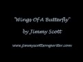 Beautiful song about losing a loved one - Wings Of A Butterfly