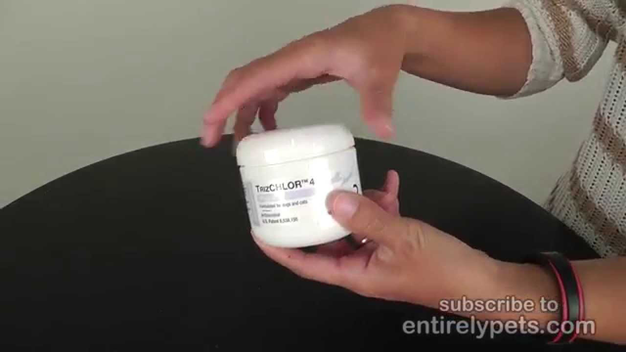 trizchlor 4 wipes dogs