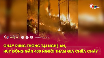 Cháy rừng thông tại Nghệ An, huy động gần 400 người tham gia chữa cháy