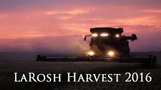 LaRosh Wheat Harvest 2016