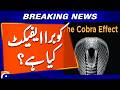What is the Cobra effect ? | Geo Digital