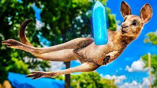 Le Diamant Magique | Film Complet en Français | Aventure