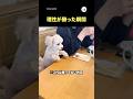 机に乗ってはいけない決まりなので…|PECO