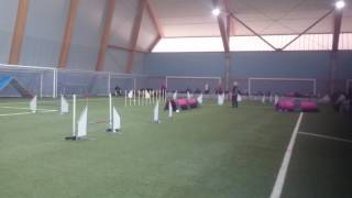 Via Bø 18022017 1.plass Hopp2