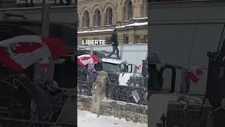 Liberte 