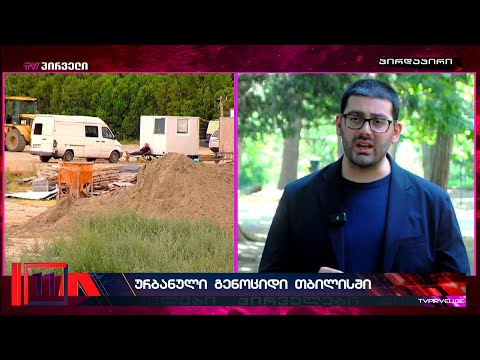 ურბანული გენოციდი თბილისში - პარტია ლელოს საგანგებო განცხადება