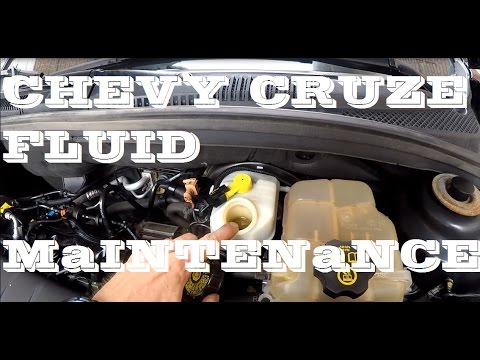 How to check your Chevrolet Cruze fluids. Maintenance.