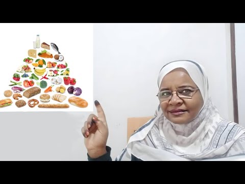 تنوع الغذاء للاطفال الهرم الغذائي   