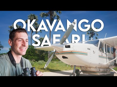 Botswana Safari VLOG - Fly With Me from Delta Camp to Tubu Tree (Okavango Delta)