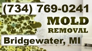 Mold Removal Bridgewater MI (734) 769-0241 | Mold Remediation Bridgewater Michigan