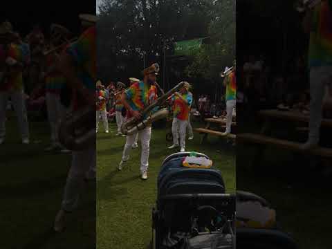 Mr Wilson's Second Liners do Prodigy's 'Breathe'