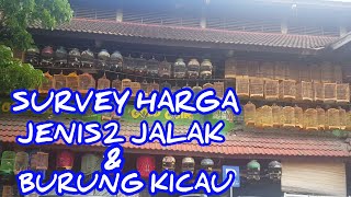 SURVEY HARGA JENIS - JENIS JALAK DAN BURUNG KICAU