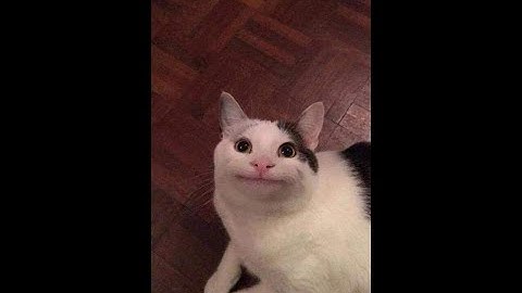 Kriptografi untuk enskripsi dan deskripsi mengunakan python