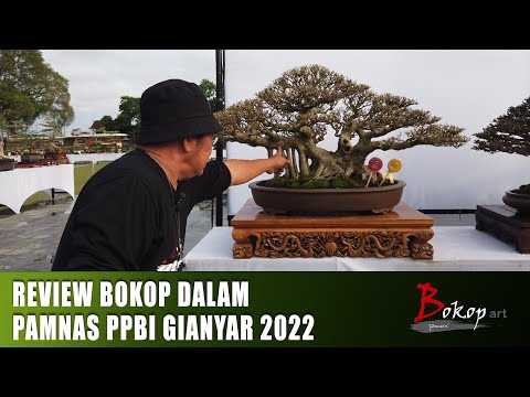REVIEW BOKOP DALAM PAMNAS PPBI GIANYAR 2022
