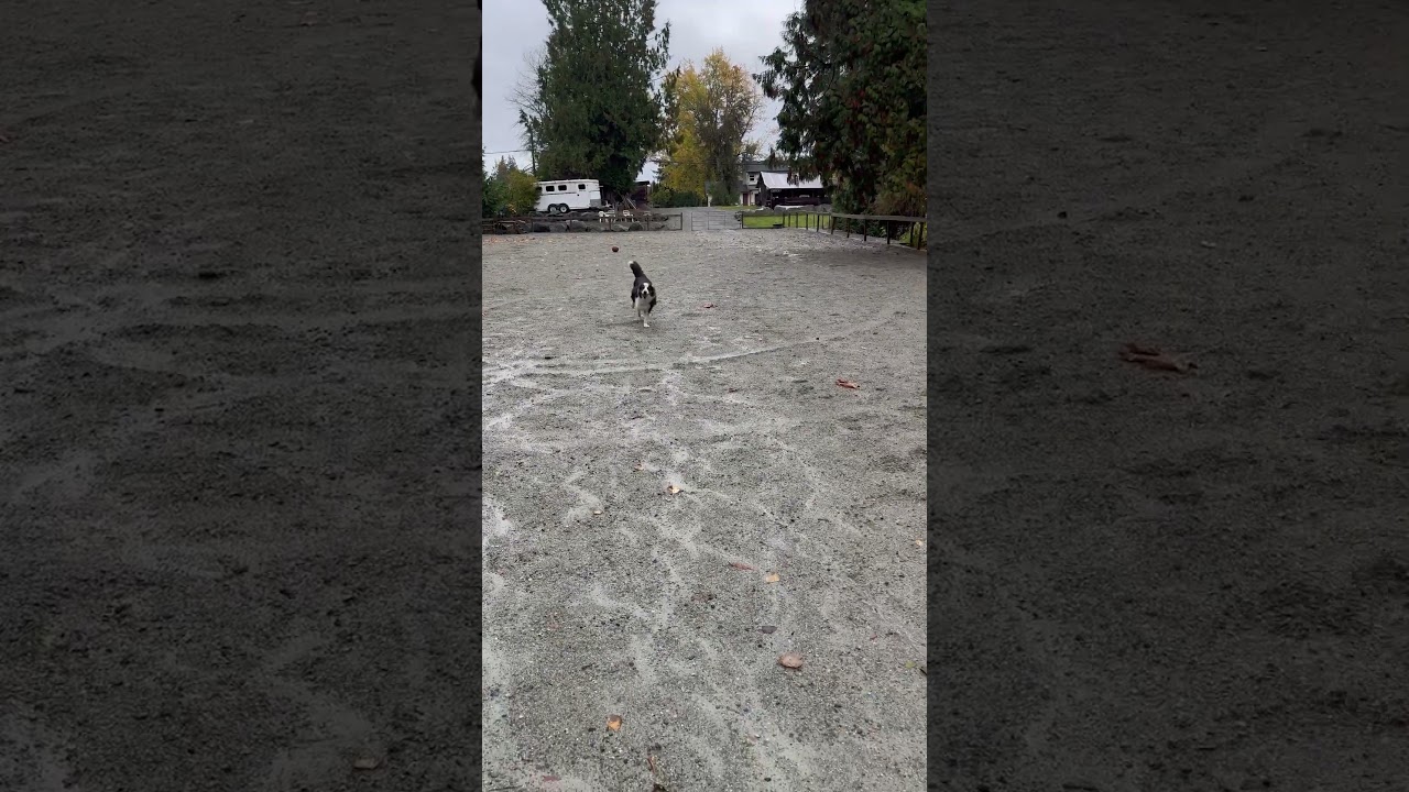 Возвращаемся с нашим любимым мальчиком!