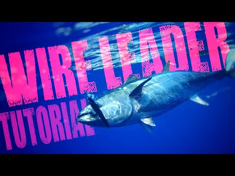 Video: Swordfish inafanywa lini?