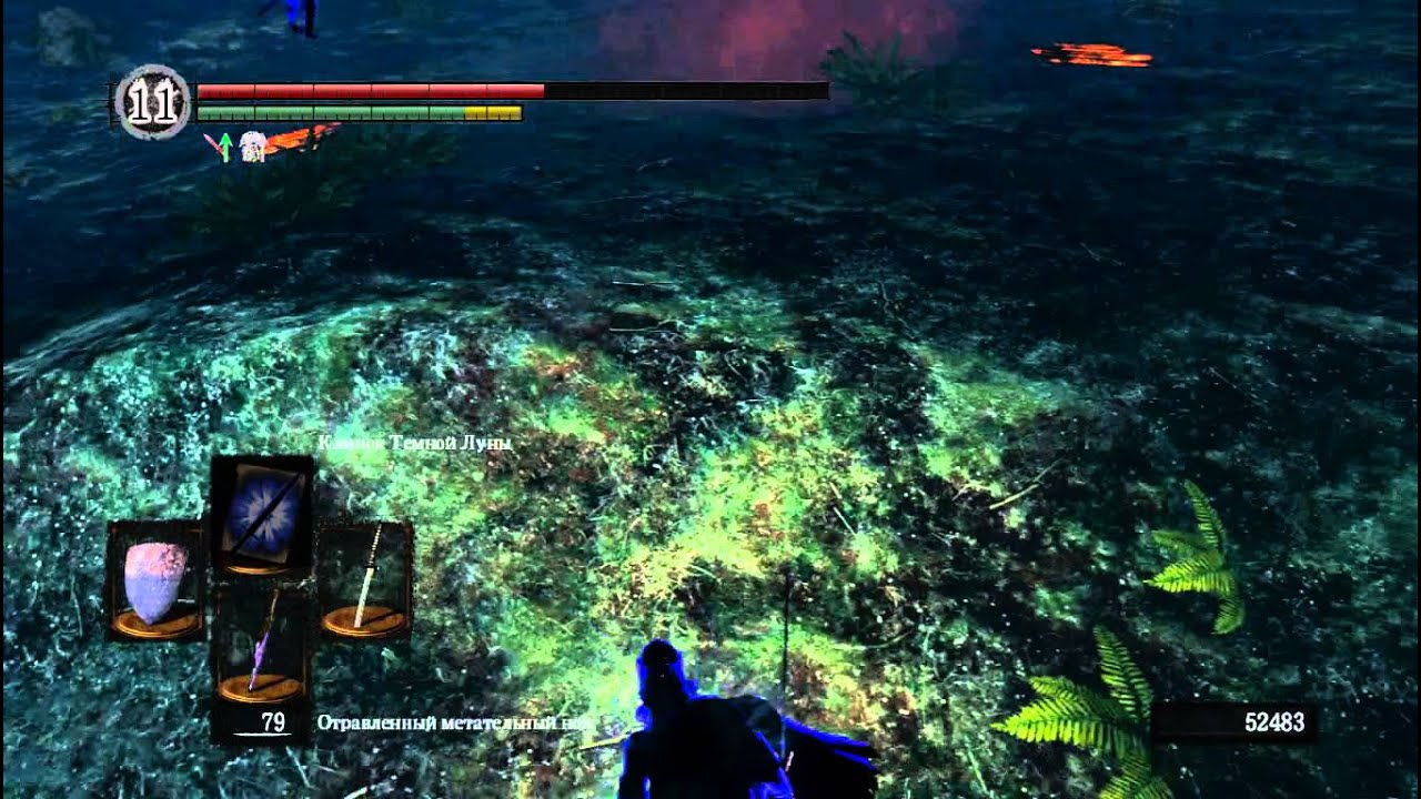 D.S data 2014 06 24 Убийство Героя в лесу