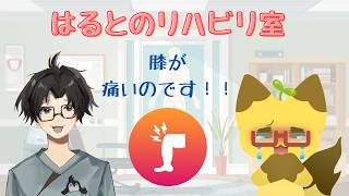 【雑談】桐生さん企画！【はるとのリハビリ室】【PT企画】