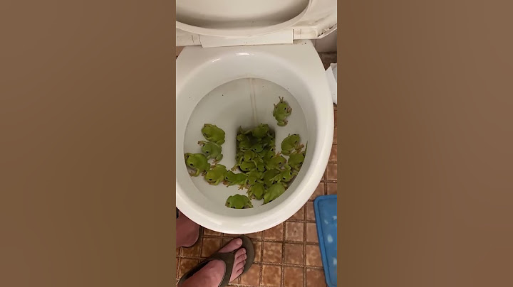 Australian Toilets are Disgusting