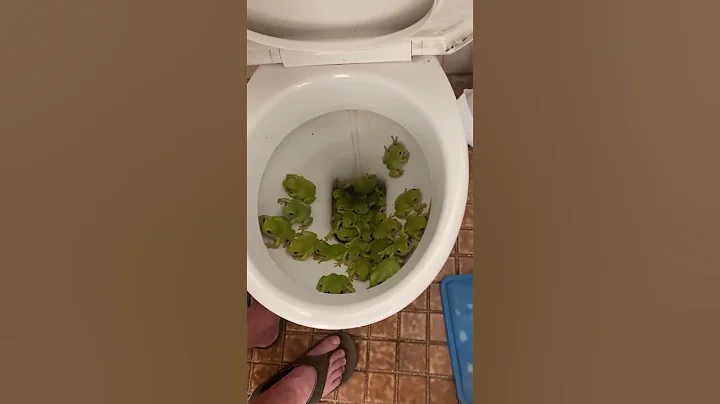 Australian Toilets are Disgusting - DayDayNews