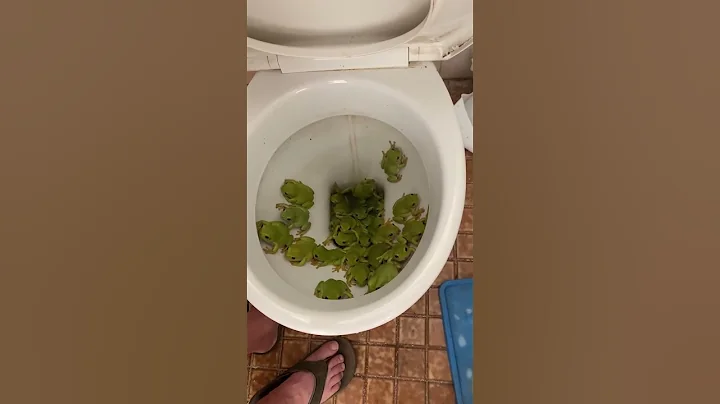 Australian Toilets are Disgusting - DayDayNews