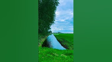 رعد الكردي /سورة الجمعة #follow #تصويري #quran #لايك #تيك_توك #تلاوات #راحة_نفسية #fypシ゚viral