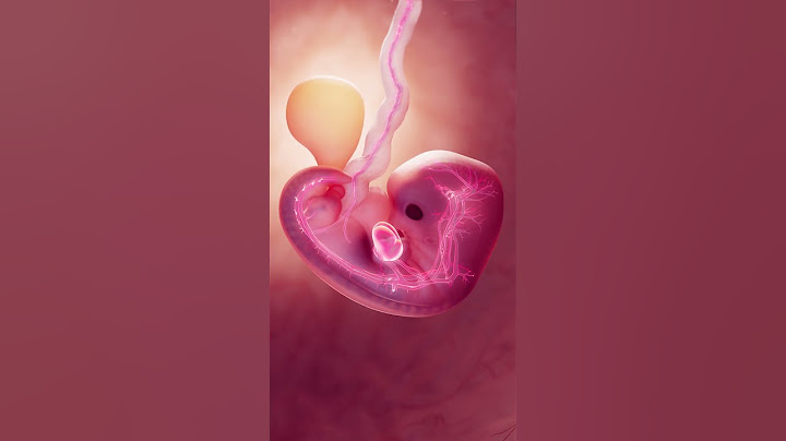 #Heartbeat of #Life at 8 Weeks #vetenskap