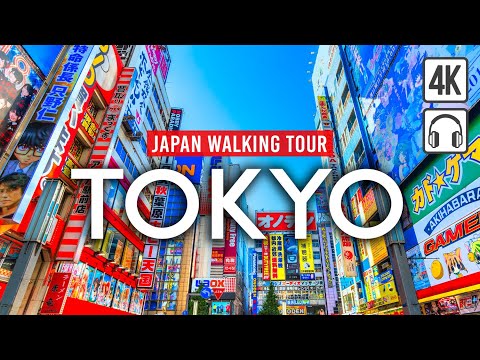 Video: Tokyo Tours