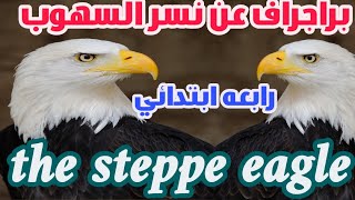 براجراف عن نسر السهوب the steppe eagle  رابعه ابتدائي انجليزي ترم اول #رابعة_ابتدائي 2024 #english