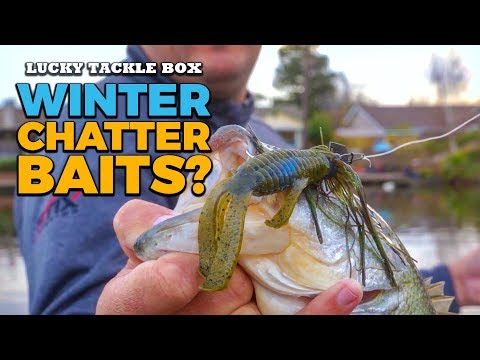 How to Fish a Chatterbait for Winter Bass 