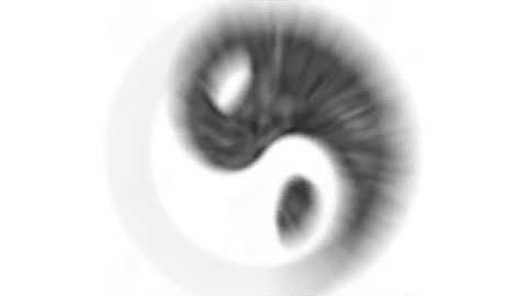 yinyang vortex
