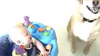 Funny Baby Videos