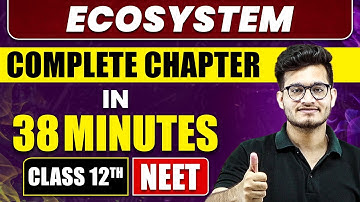 Ecosystem in 38 Minutes | Full Chapter Revision | Class 12th NEET