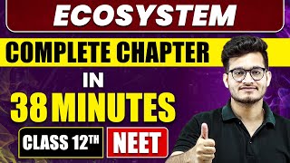 Ecosystem in 38 Minutes | Full Chapter Revision | Class 12th NEET