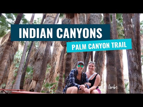 Vlog #26: California | Indian Canyons → Palm Canyon Trail - A MUST DO!