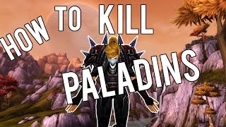 how to kill a paladin rogue arena combat rogue pvp warlords of draenor 62