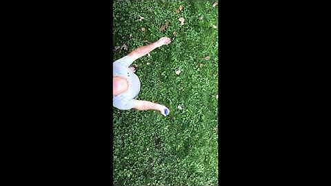 Three Views of Projectile Motion