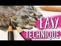 EASY WAY TO DRAW FEATHERS | Coloured Pencil Tutorial