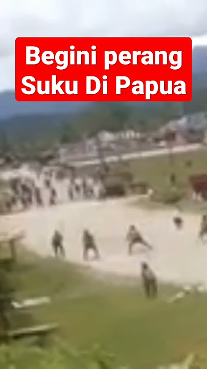 Perang Suku Papua story'WhatsApp #shorts
