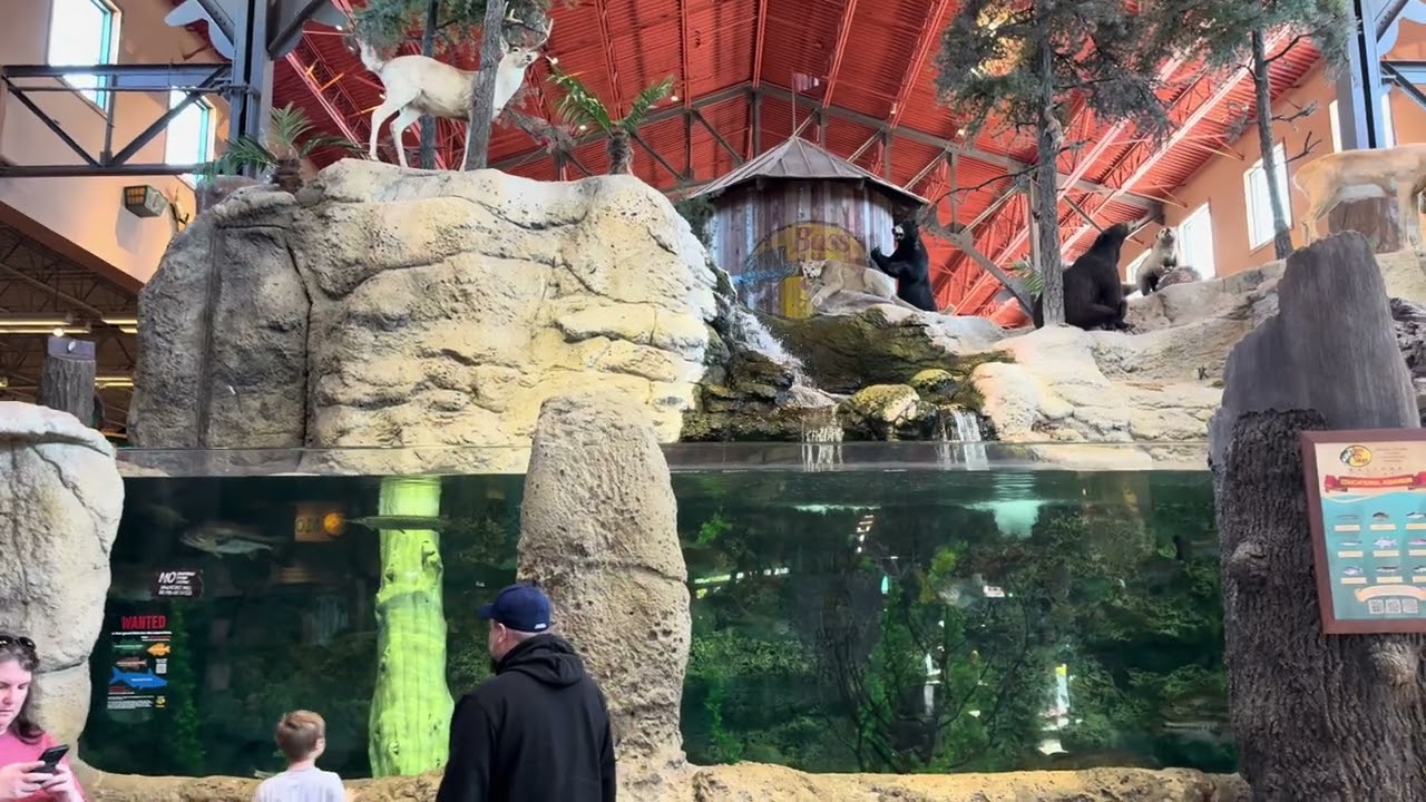 Bass Pro Shop Fish Tank - Orlando, FL 04-06-2024