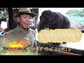 Kim Atienza features Mali, the lone elephant in the Philippines | Matanglawin