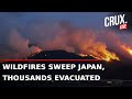LIVE | Wildfires Scorch Over 460 Hectares In Japan, Mass Evacuations On As Firefighters Battle Blaze
