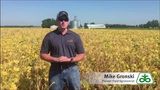 Corteva Soybean Herbicide Program